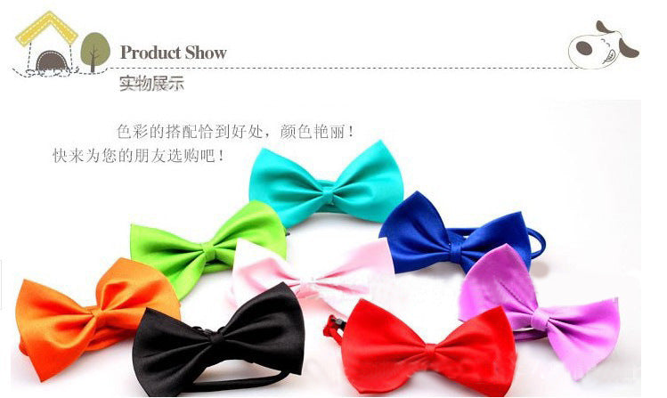 2e6d16e3-a8dc-4cdb-a803-a1ca92696a5b