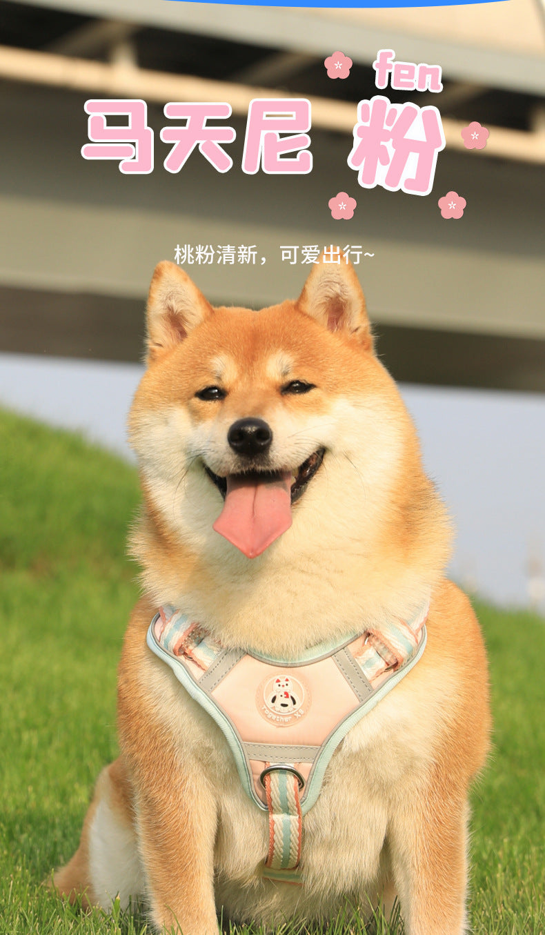 79b8285f-9d79-4dcd-a045-78ef284b60d0
