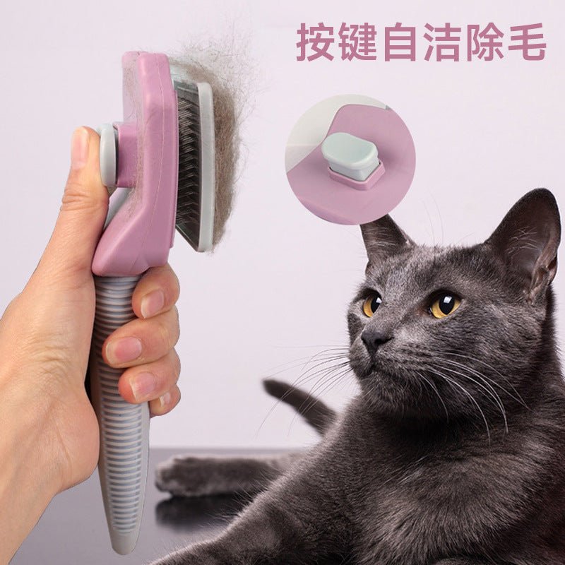 2c3ee0ef-715c-488e-b8cf-85feb3f9e75b