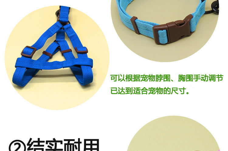 3465b0f6-5cde-4aa9-9a4c-86b317c5c67f