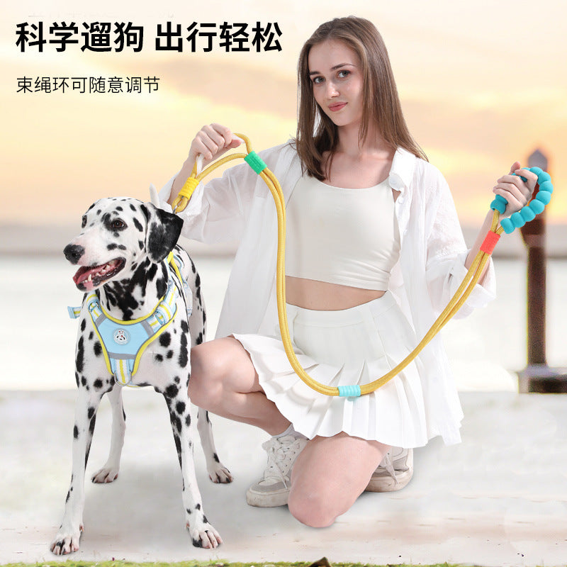 f54a7f46-ae68-4504-8b9a-8f0734e1c176