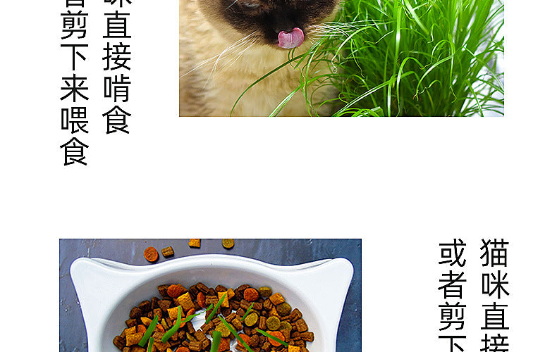 ce583ad5-816d-49fa-8db0-a54831d46366