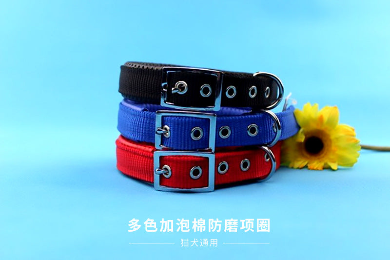 95505f47-938e-4a38-b9ea-c2f704a7e981