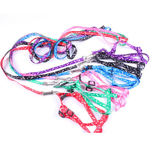 3d23e6bf-c0bc-4958-b900-865e01ce4a13