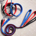 4628109a-5b43-410f-a457-63137ed8494d