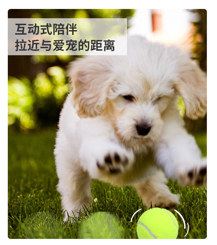 0afe155b-fdbe-41c4-82ee-06e783ddfe74