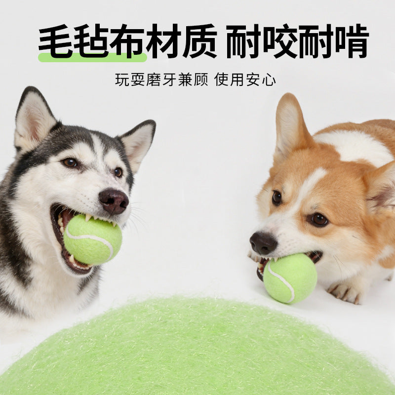 e8827ed1-8725-4c21-a447-f08d60eaada7