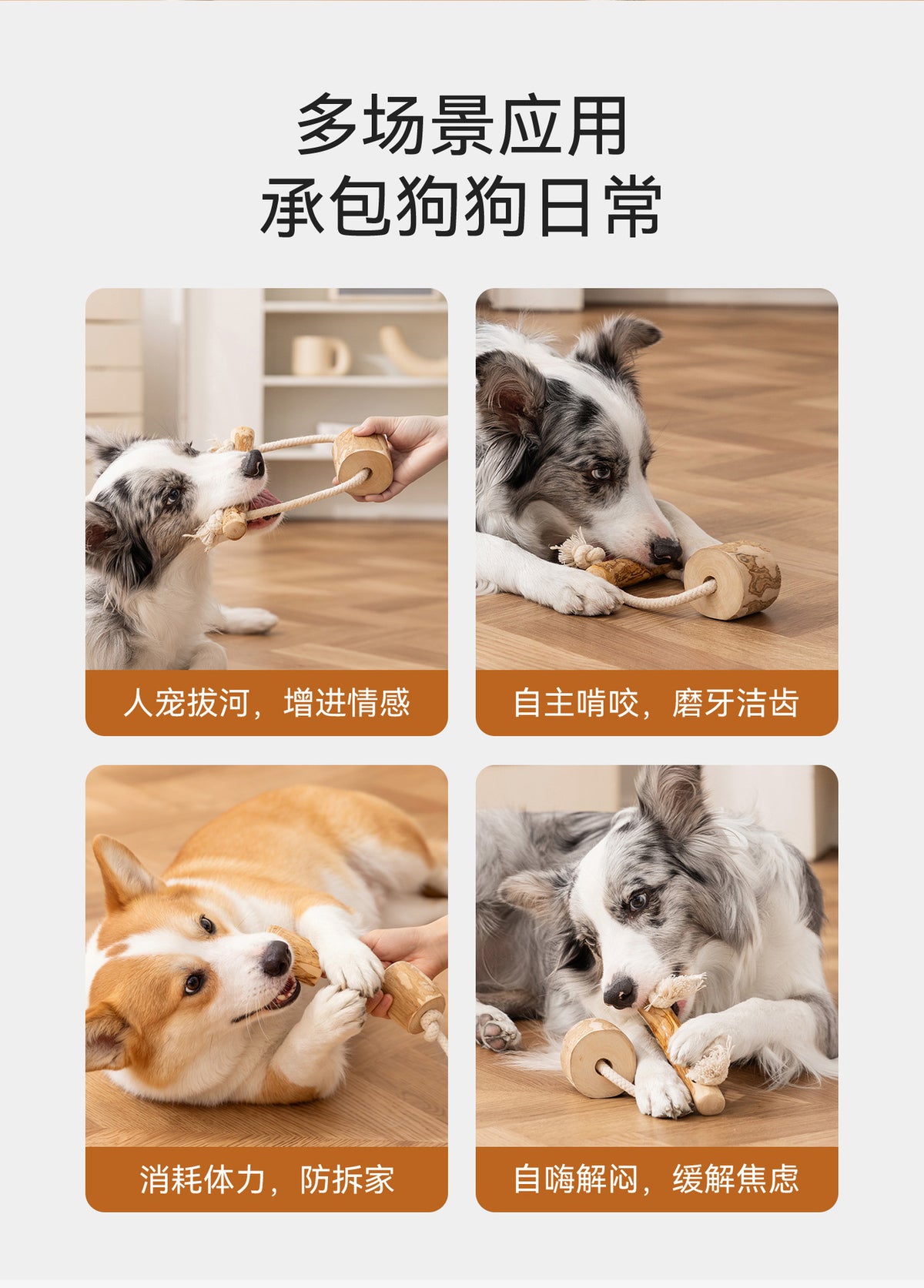 66c8c297-9cf4-43bd-970f-bcdd277ec47a