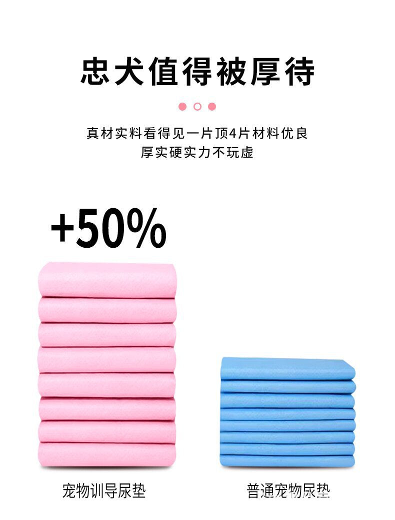 2ab2ddd4-a70b-4f37-9155-dcda976b2cd8