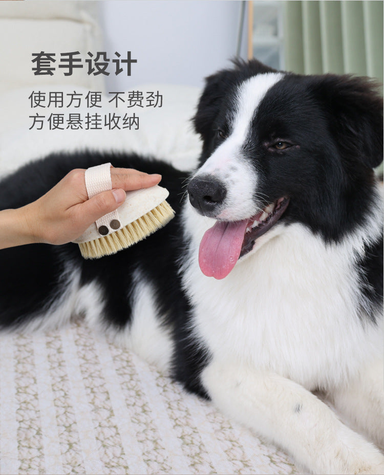 f80a4dbd-95d3-4526-8719-ae638ba1e0e2