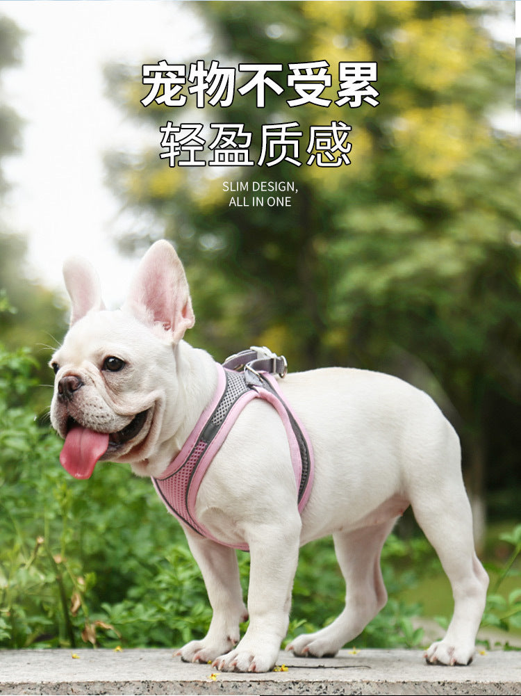 988431f2-fab1-452f-9e1c-37fcadd19055