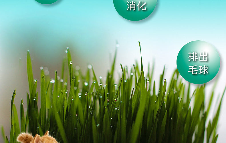6cb2aa39-f4e9-4826-a2bd-450ceebd99fb