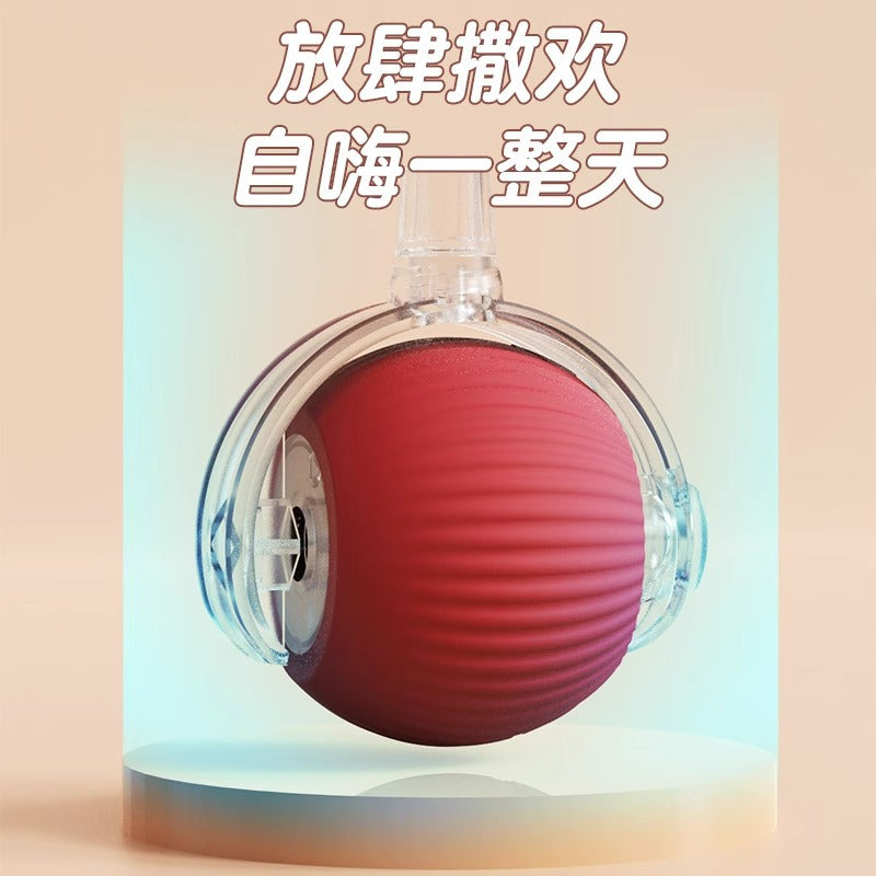6172495d-5d5b-4753-b0d3-df61e4eedc3a