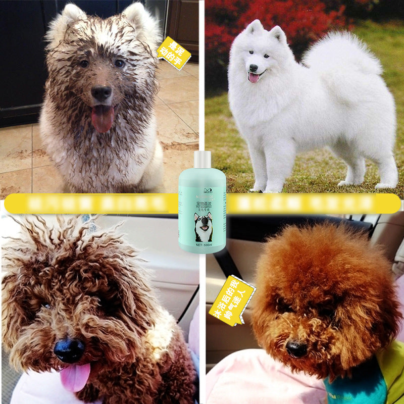 1a5f0963-0e55-4f67-825e-f88effb00a75