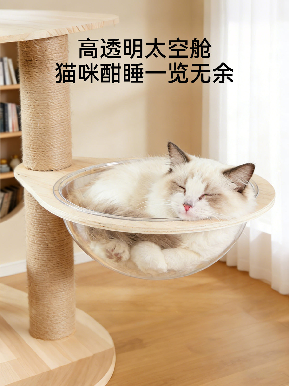 95076350-84cb-499a-ad56-90635a4acbba