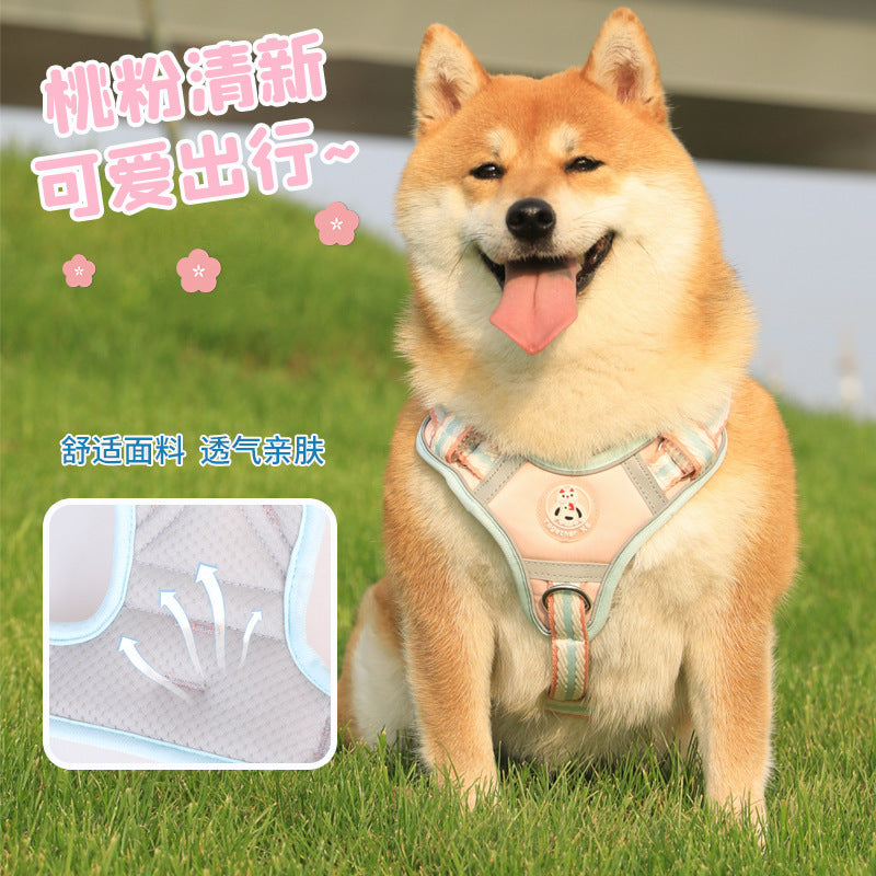 176e26db-054a-4900-9ce3-db99922305af