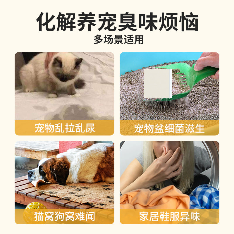 781e5609-fc28-4f7b-adb8-2d22eefa787a
