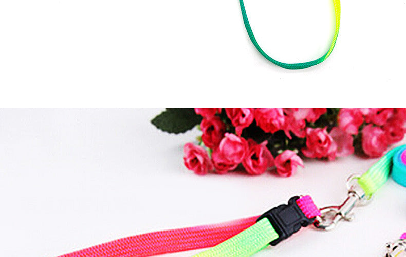 c38bc7c9-2ca7-45d9-b578-bd4aecc1e6ab