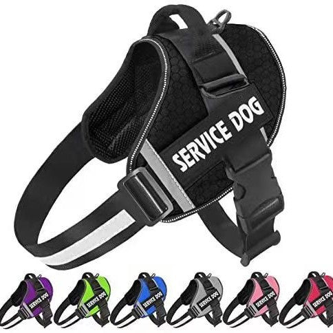 5258a8cc-23b0-47e7-a0c9-0c191c290fd9