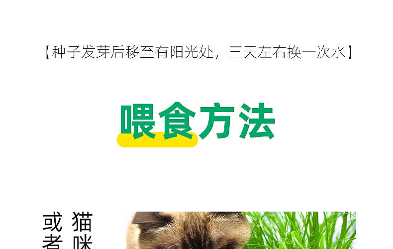 9f494fa8-b802-46cf-ad0d-2cde5030f96f