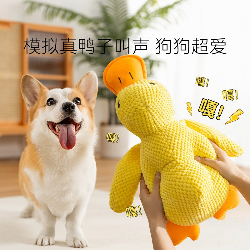 8714337a-970e-4b5d-99b1-e90565f503cf