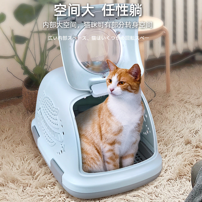 06d8701f-ff0e-4281-b350-f428ad3ee30a