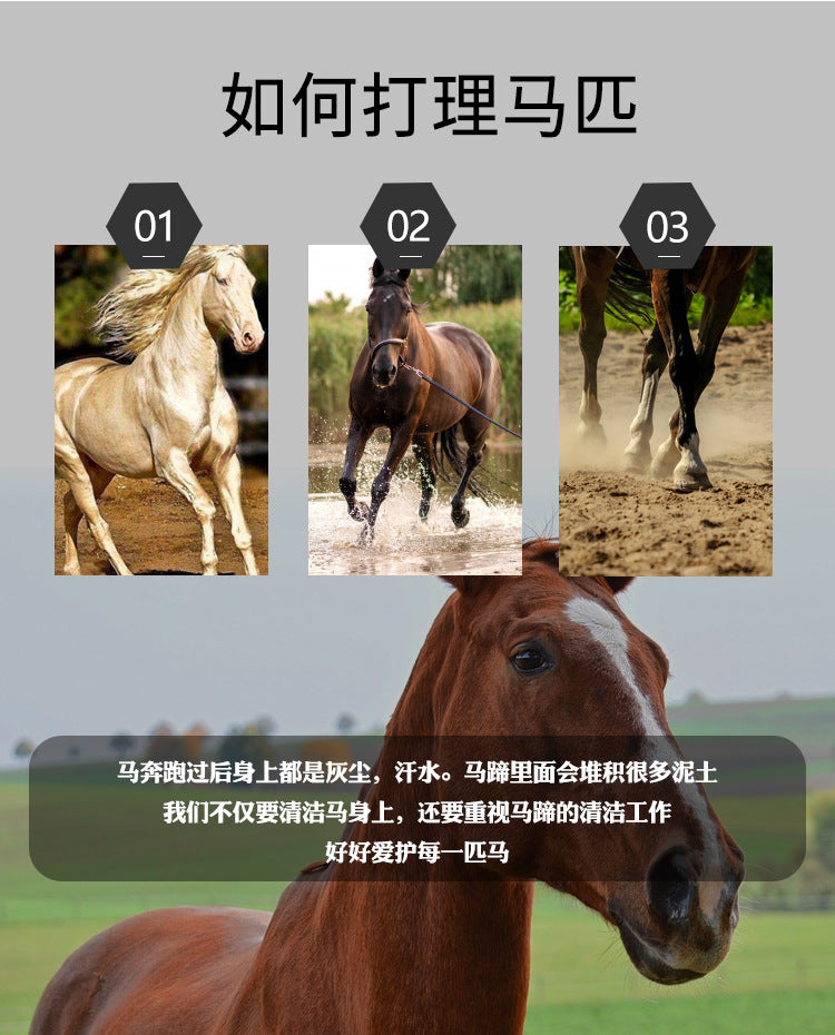 856adcb2-0d0b-4cff-b959-84ddb0966256