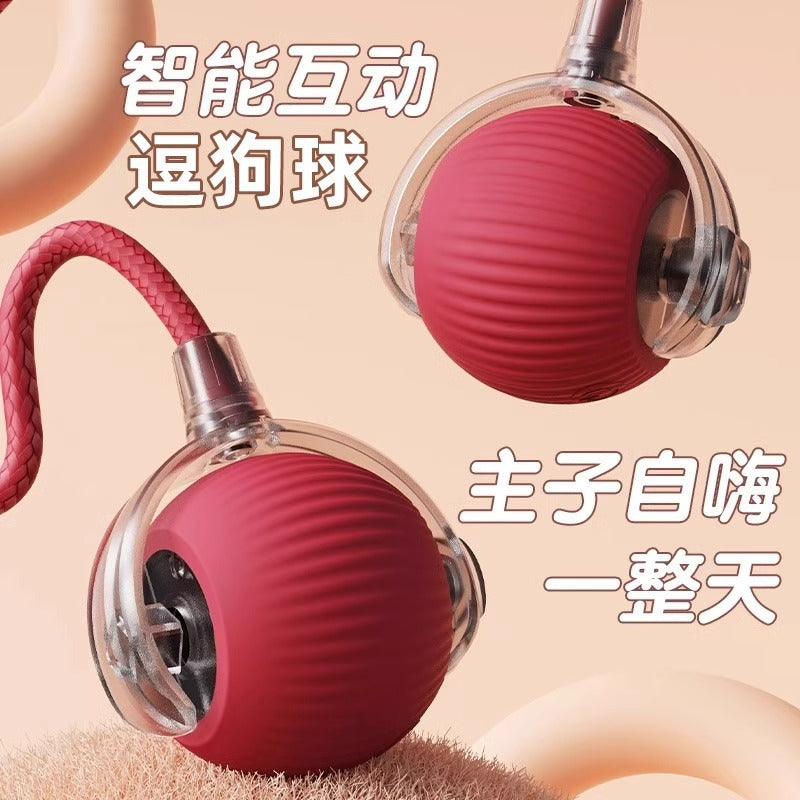 6cbd218f-bdf8-4f75-ad34-5a8c8b5905b3