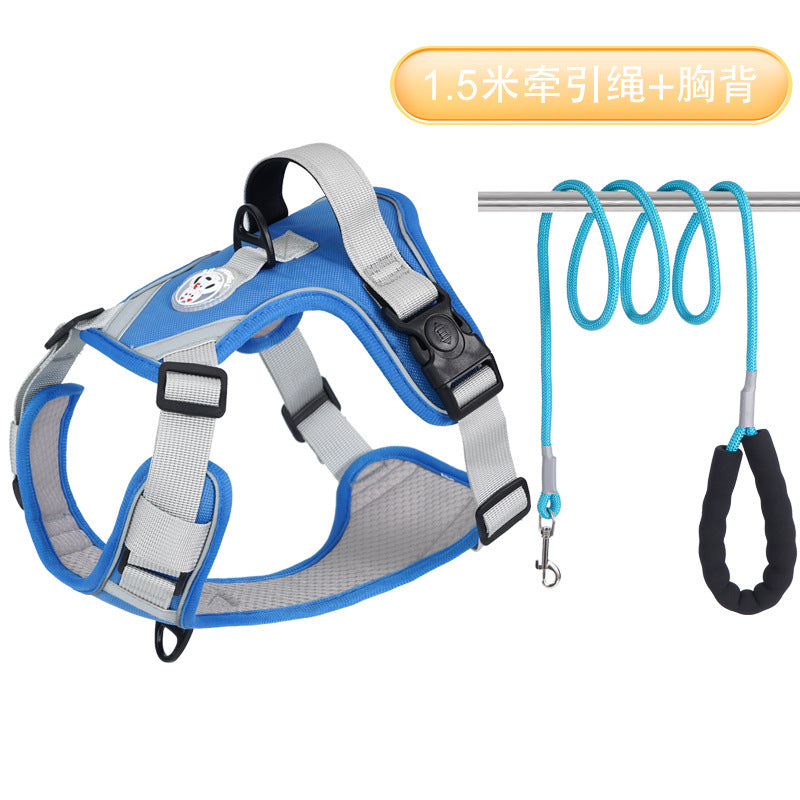 77dae176-8c97-4a0d-ab28-a91ccc864677
