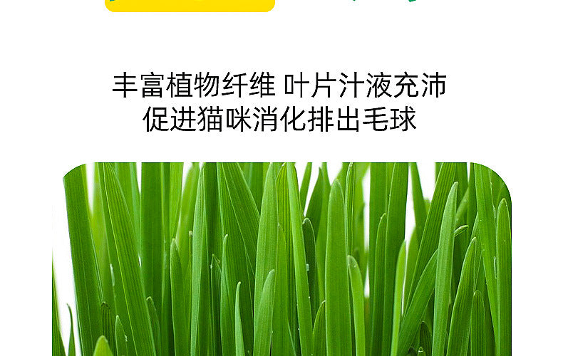 48866adc-7a0b-440e-aaa7-c121e6820f41