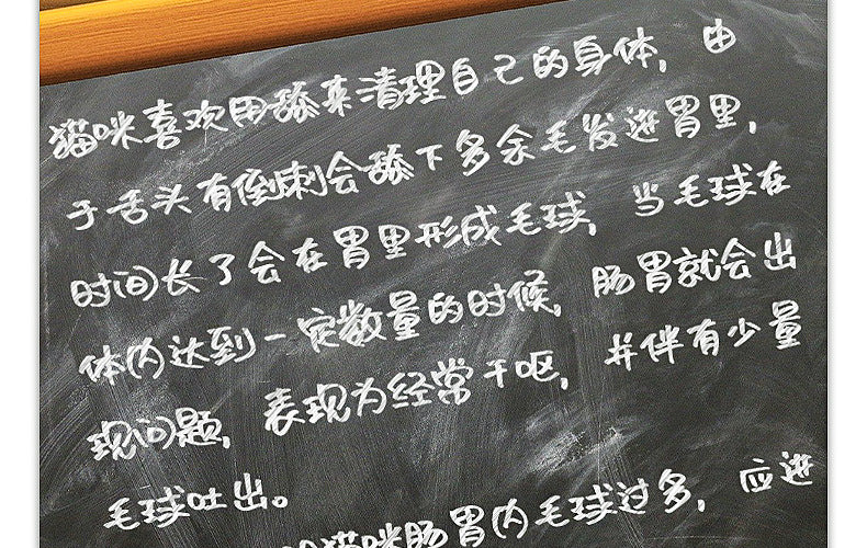 bf5106b9-db26-44ef-8cc9-cc485f3db0bd