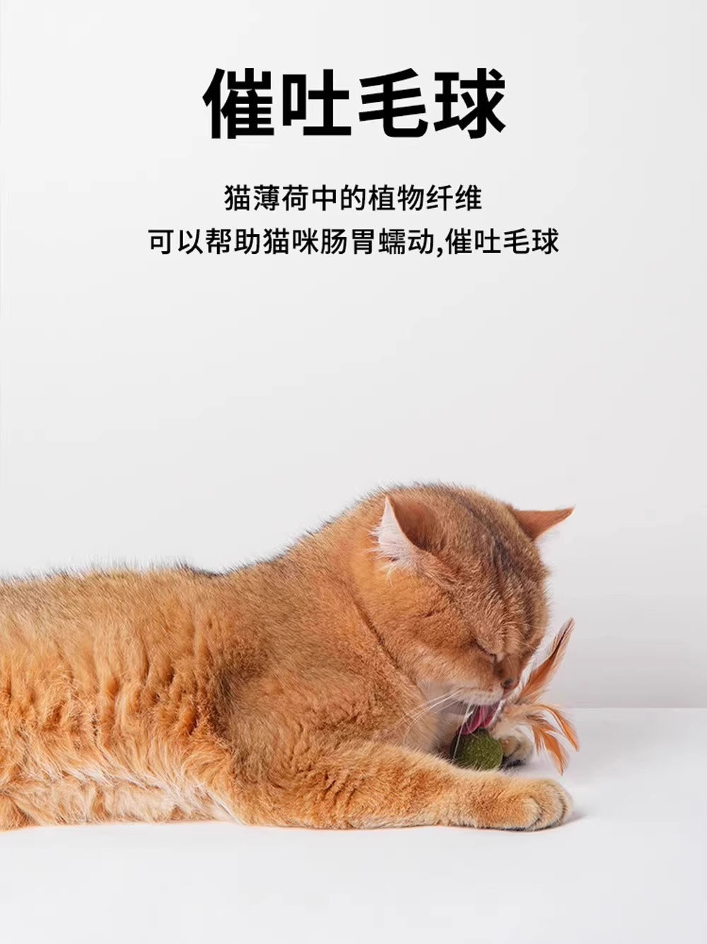 d9ca311b-45dc-4ee8-9224-f1a0a4a44222