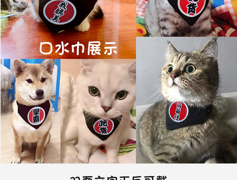 0abc10ca-119e-4b1f-b37a-b6471ffce1cb