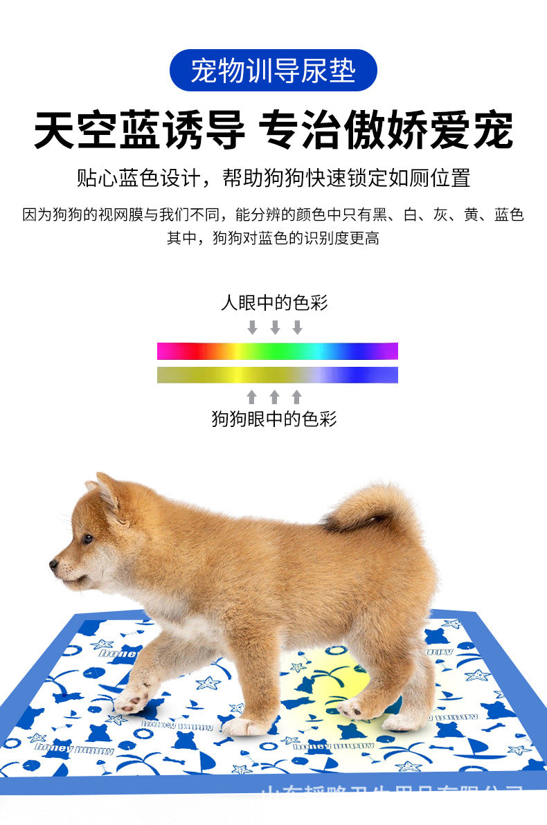 283e3052-55bc-4d8b-8000-9301c39f2c65