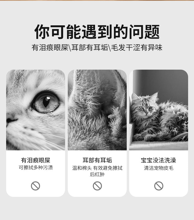 8101174a-5a3a-4bc5-b714-e66cf0a56181