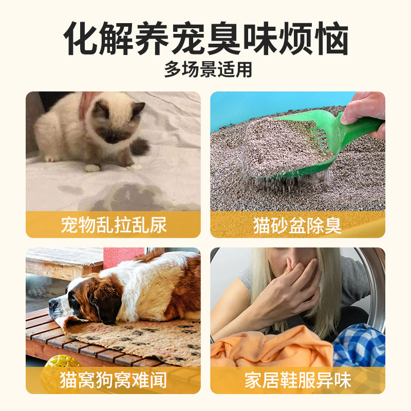 c5333006-f503-465c-9684-b154eb63e45f