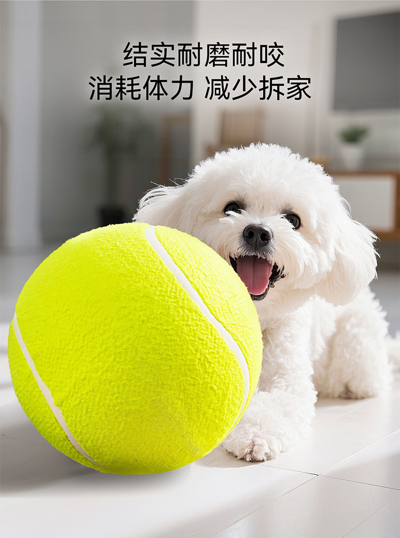 4eeba234-30c6-449a-b56e-3dd4b21c0ea2