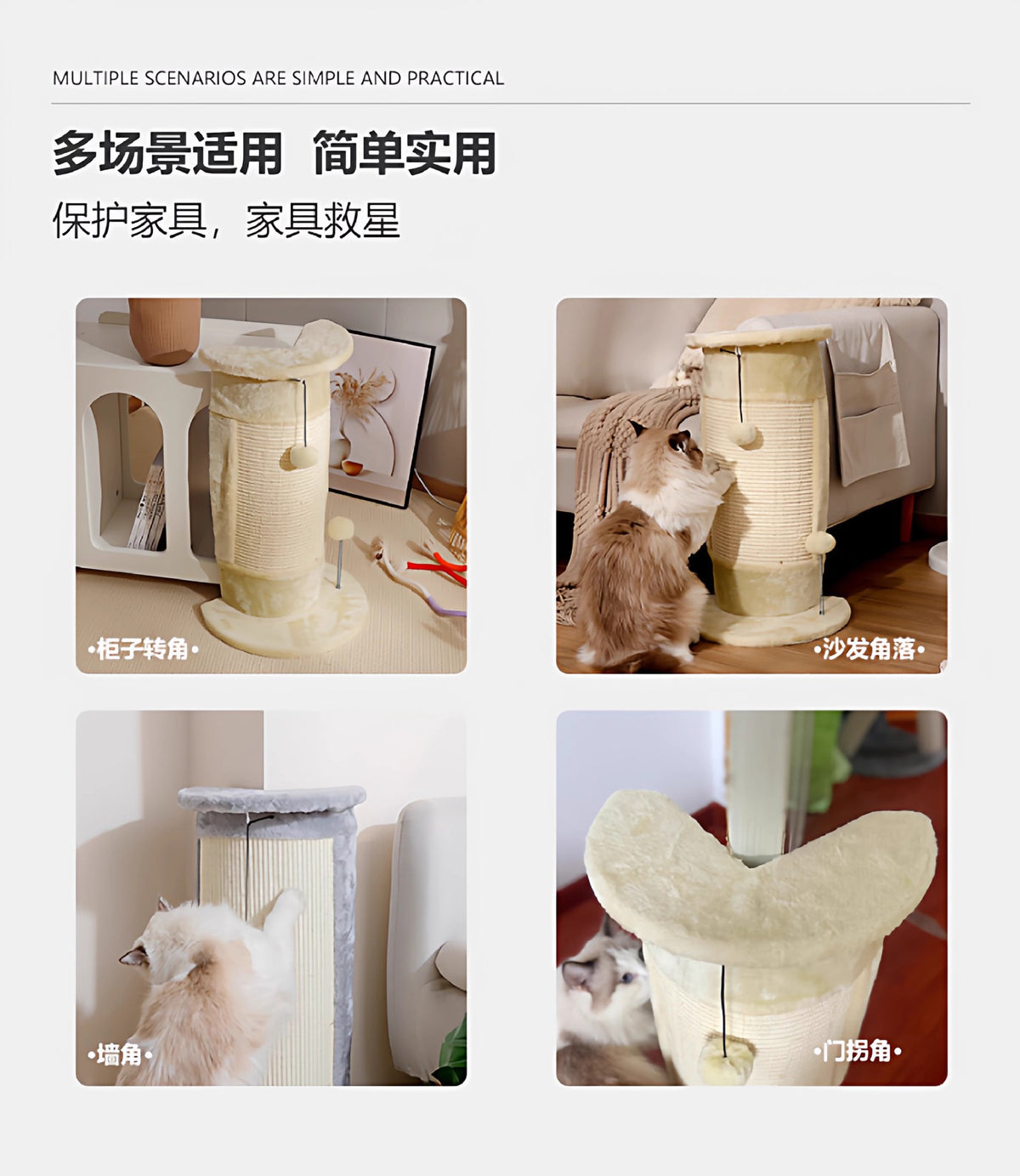 a73f018a-6cf9-4065-a909-d6a742c6fcc5