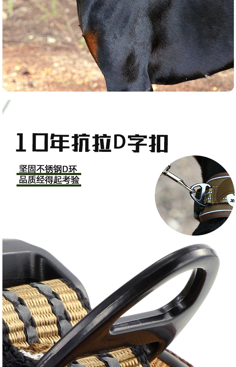 0dae9305-4627-408d-a5bd-b5a07d1a526f