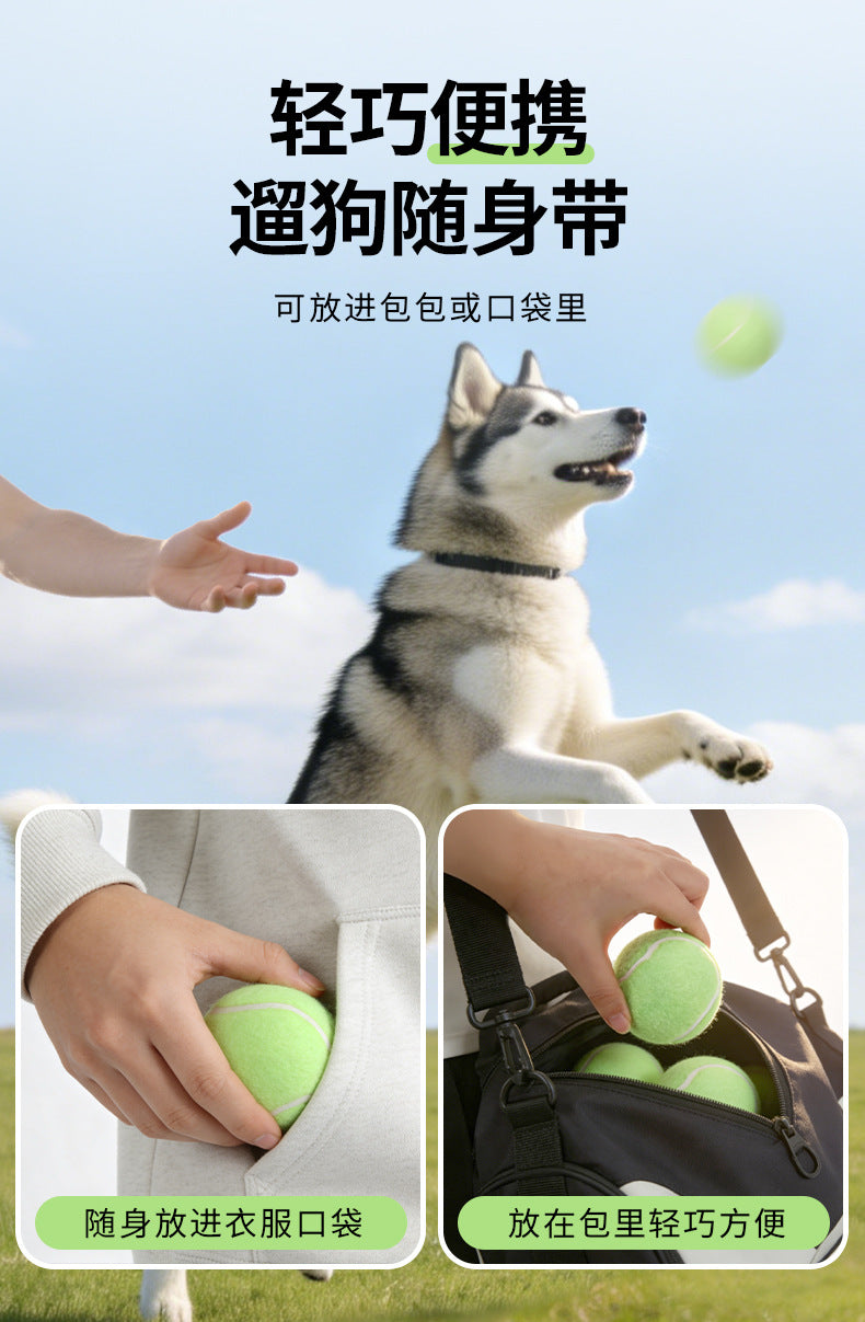 da2a438d-a3a0-491f-a8d5-4d47b0c96ae3