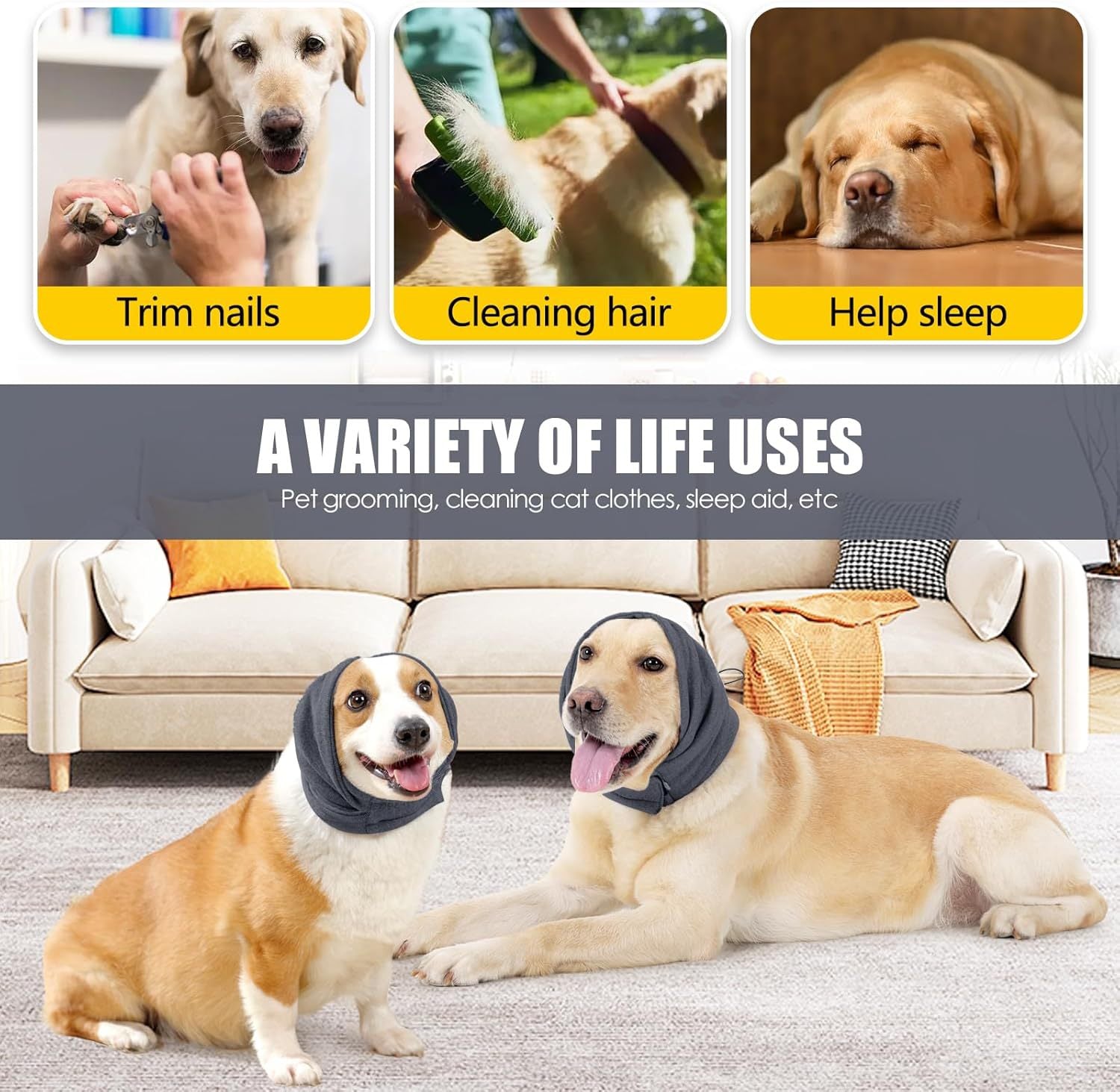 cd5178da-3459-463d-ac4a-cc9b6d503c82