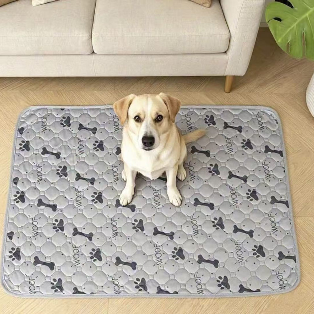 489fa27c-817b-4d67-af13-10e5a2189ca4