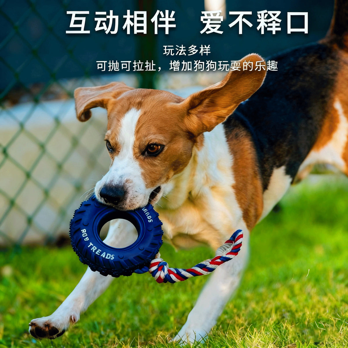 a33763f6-fed2-4d01-9cd7-50cbc55afa9a