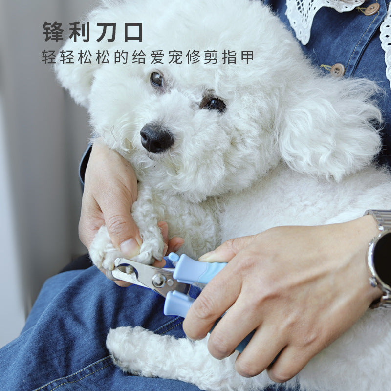 62581c7d-90bb-44ce-bac1-f9c83adf9d7e