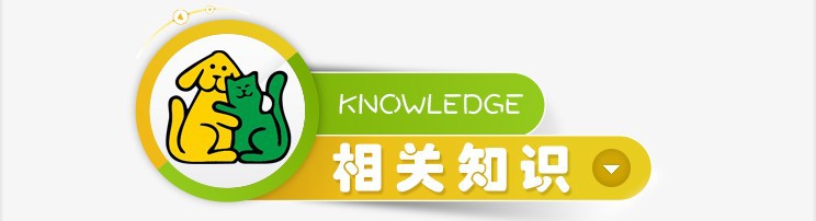 3840051b-6415-4c08-b37b-375c6b0c4cb1