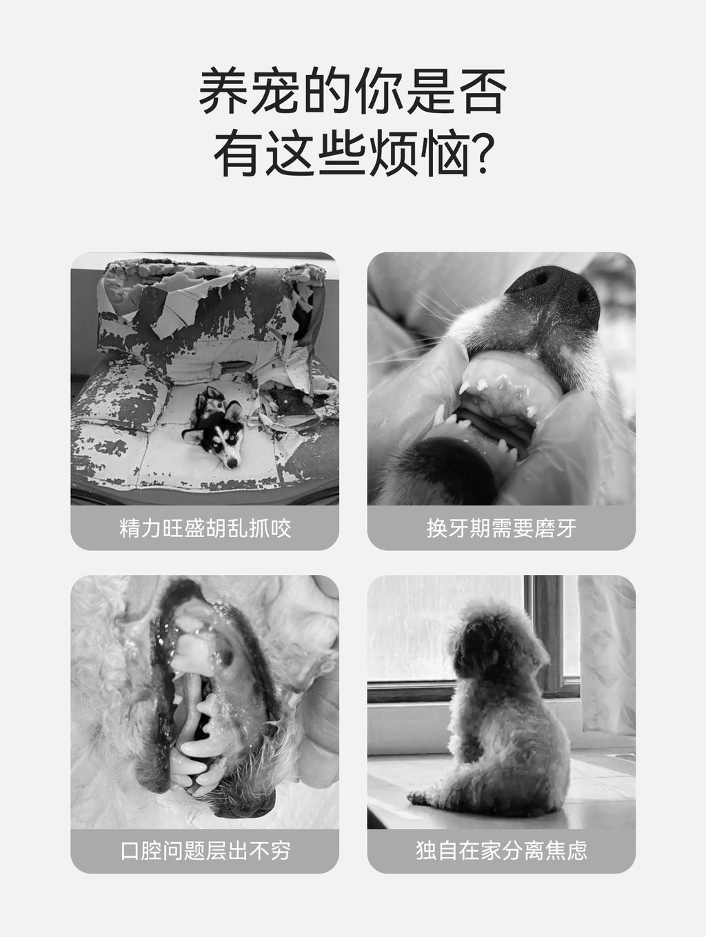 7d58054f-7dd3-4f1c-bbce-0150d097eaa8
