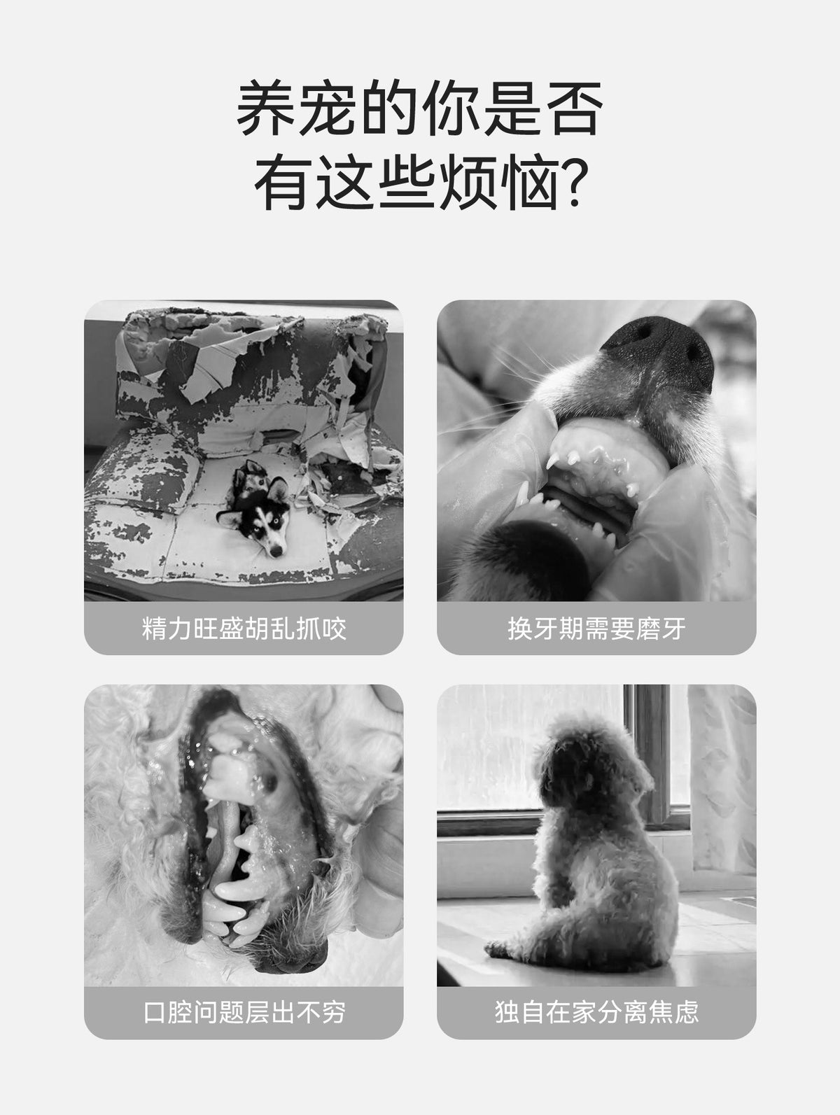 7d58054f-7dd3-4f1c-bbce-0150d097eaa8