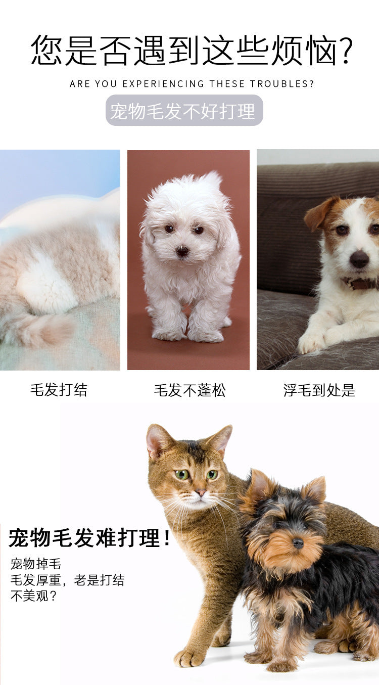 6cf0341b-b737-4439-8b6a-e48459238be8