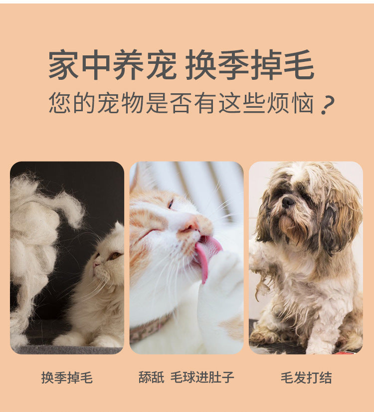 2831cae1-b573-4167-b7a4-943f18f38951
