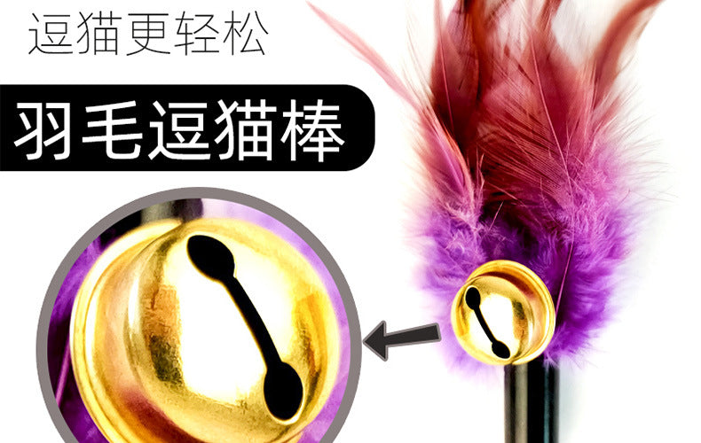 e897bc8c-2603-4810-a768-3dea08d39e6c